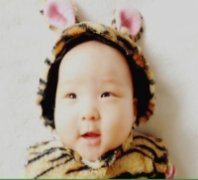 上海哪里材最廉价？