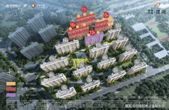 营制颜值取卑贱并存的归家